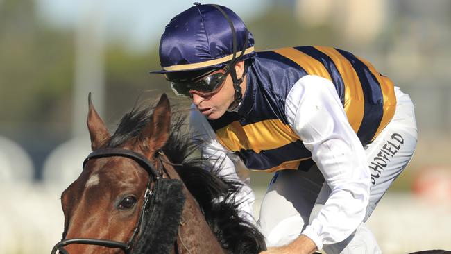 Glyn Schofield sticks with Geewhiz Johnny at Gosford. Picture: Getty Images