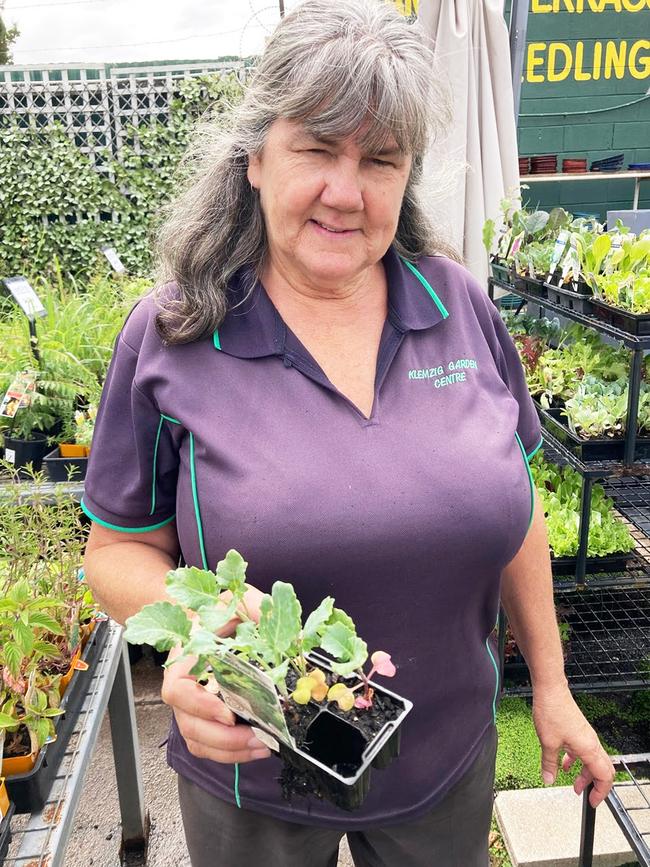 Klemzig Garden Centre manager Mardi Scott with a seedling punnet. The centre is being targeted by thieves. Picture: Mike Jaensch