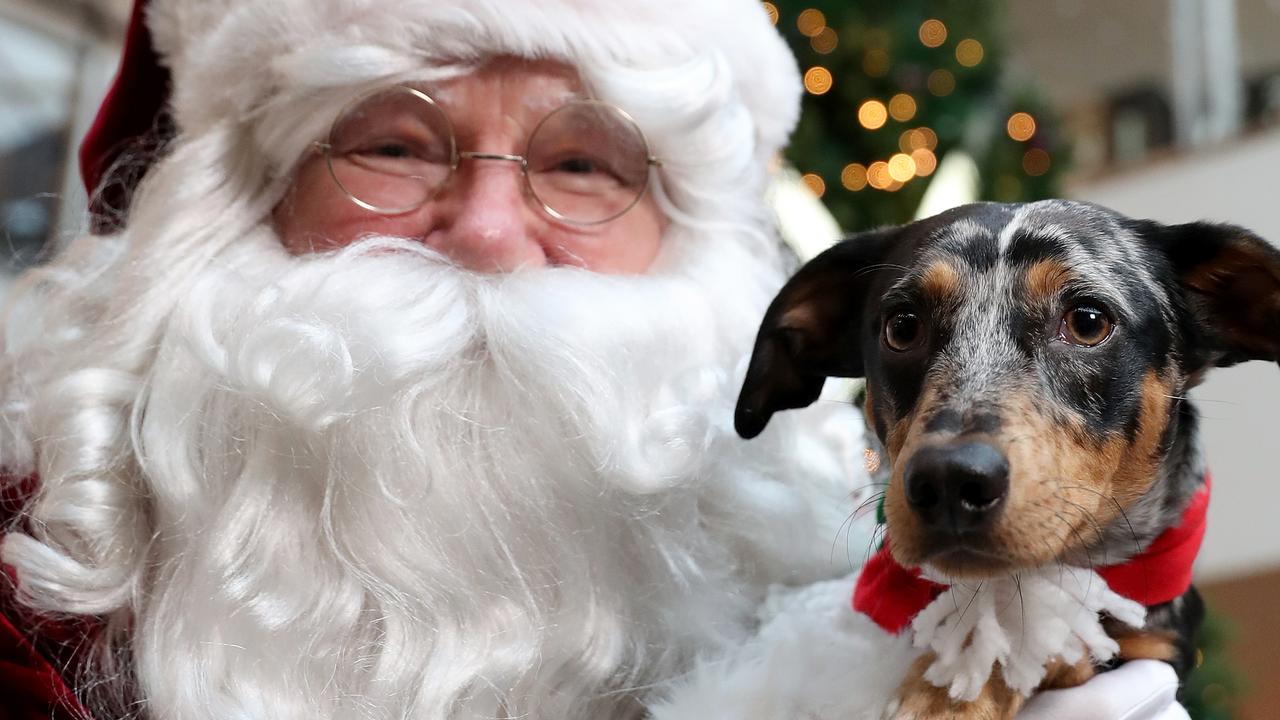 Westfield Southland Christmas photos: Pets, sensitive Santa | Herald Sun