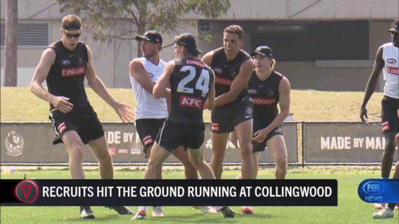 AFL 2025 Steele Sidebottom excited by Collingwood flag tilt