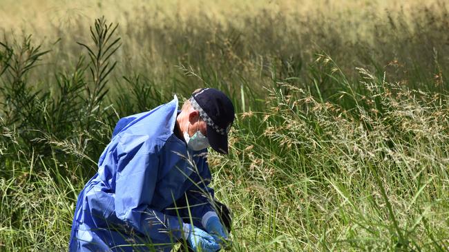 Police comb bushland near the Frayne Rd property where 22-year-old Michael Zanco was shot dead last Thursday night.