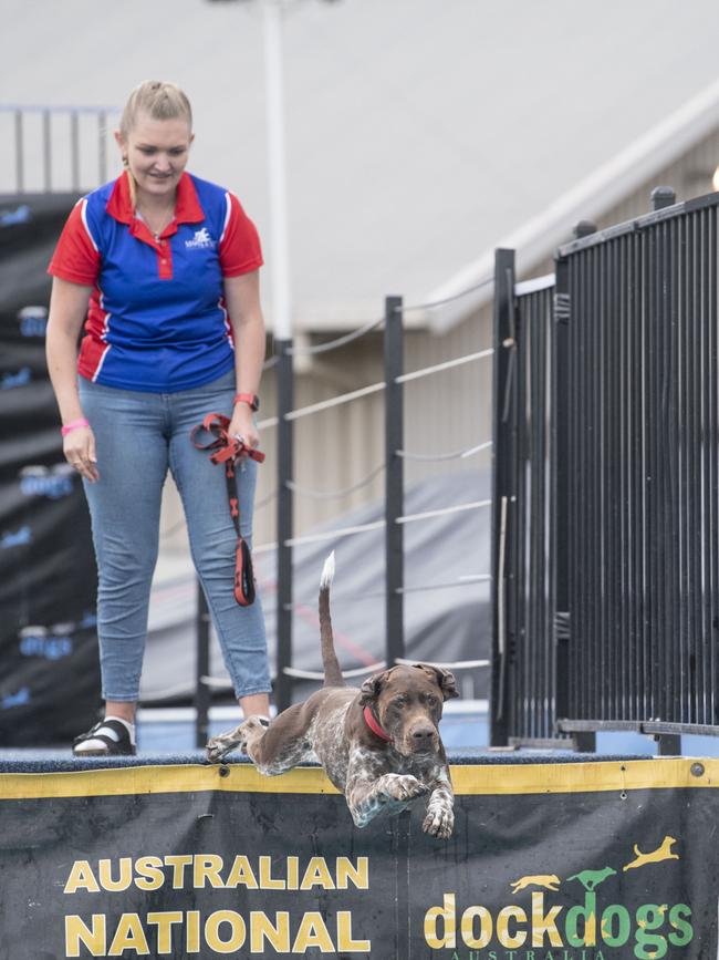 Morgan Rae and Yogi compete in dock dogs. Toowoomba Royal Show. Saturday, April 1, 2023. Picture: Nev Madsen.