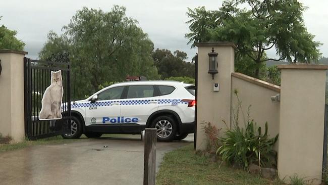 Police at the scene after a fallen tree killed one woman and injured another. Picture: TNV