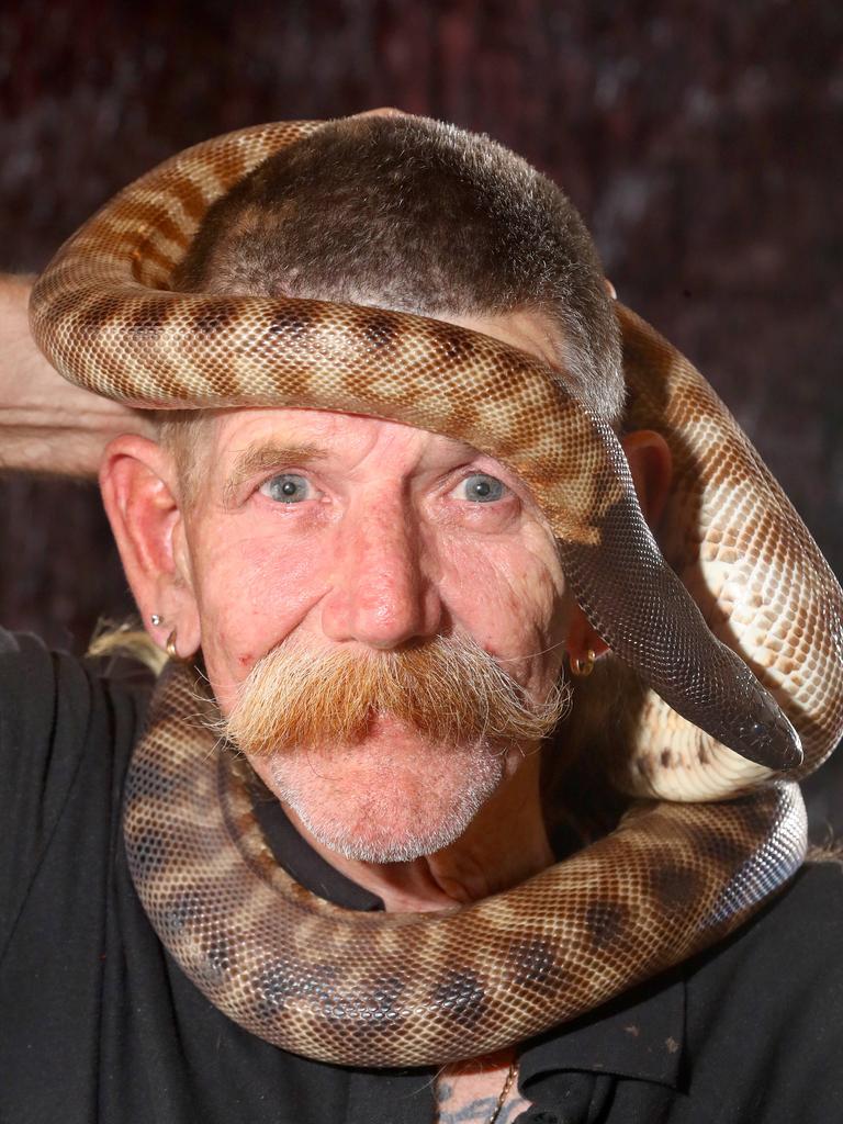 World Snake Day 2020 Corio snake catcher on why slithering reptiles