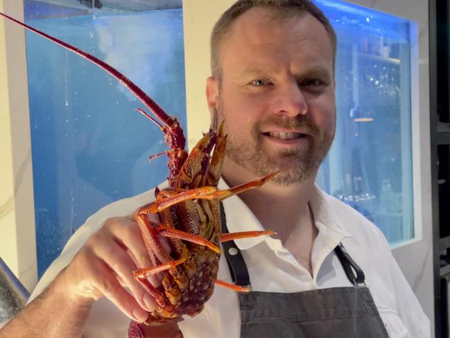 Jake Nicolson from Donna Chang with a rock lobster. Picture; Des Houghton