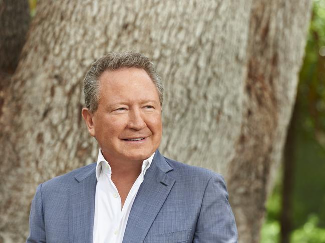 Andrew “Twiggy” Forrest: When he speaks, Australis listens. Picture: Frances Andrijch