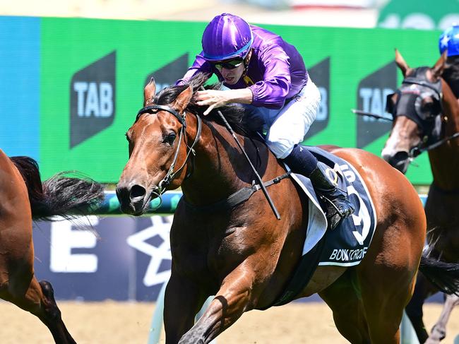 Boom Torque wins the QTIS Open for trainer Matt Dunn and jockey Michael Dee. Pic: Grant Peters, Trackside Photography