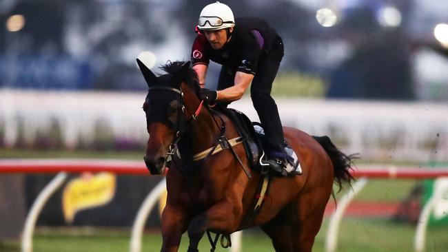 Arcadia Queen has been heavily backed to win the Golden Eagle. Picture: Getty Images