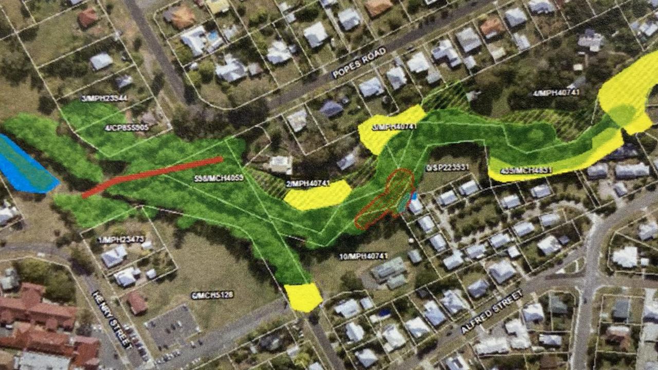 The size of the roost at Commissioner’s Gully as of January 2021.