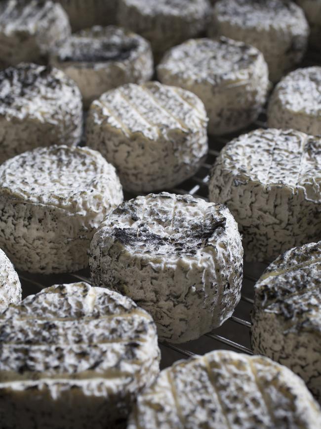 Pecora Dairy specialises in artisan cheese made from sheep’s milk. Picture: Honey Atkinson