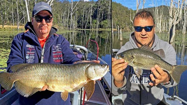 Local angler Rod Oldfield won this week's $100 Davo'sTackle World/ChaseBaits Fish of the Week prize with the photos of the saratoga and bass that he and his mate Neil Coxon caught and released at Borumba Dam.
