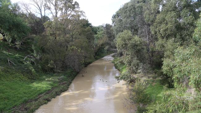 Light brown coloured water in Merri Creek. Picture: Hamish Blair