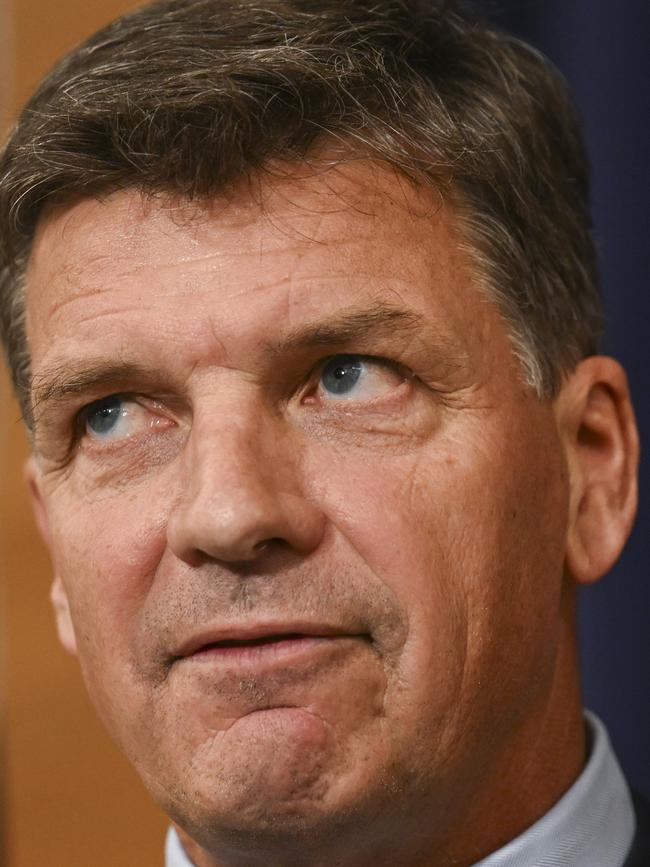 Opposition treasury spokesman Angus Taylor. Picture: NewsWire / Martin Ollman