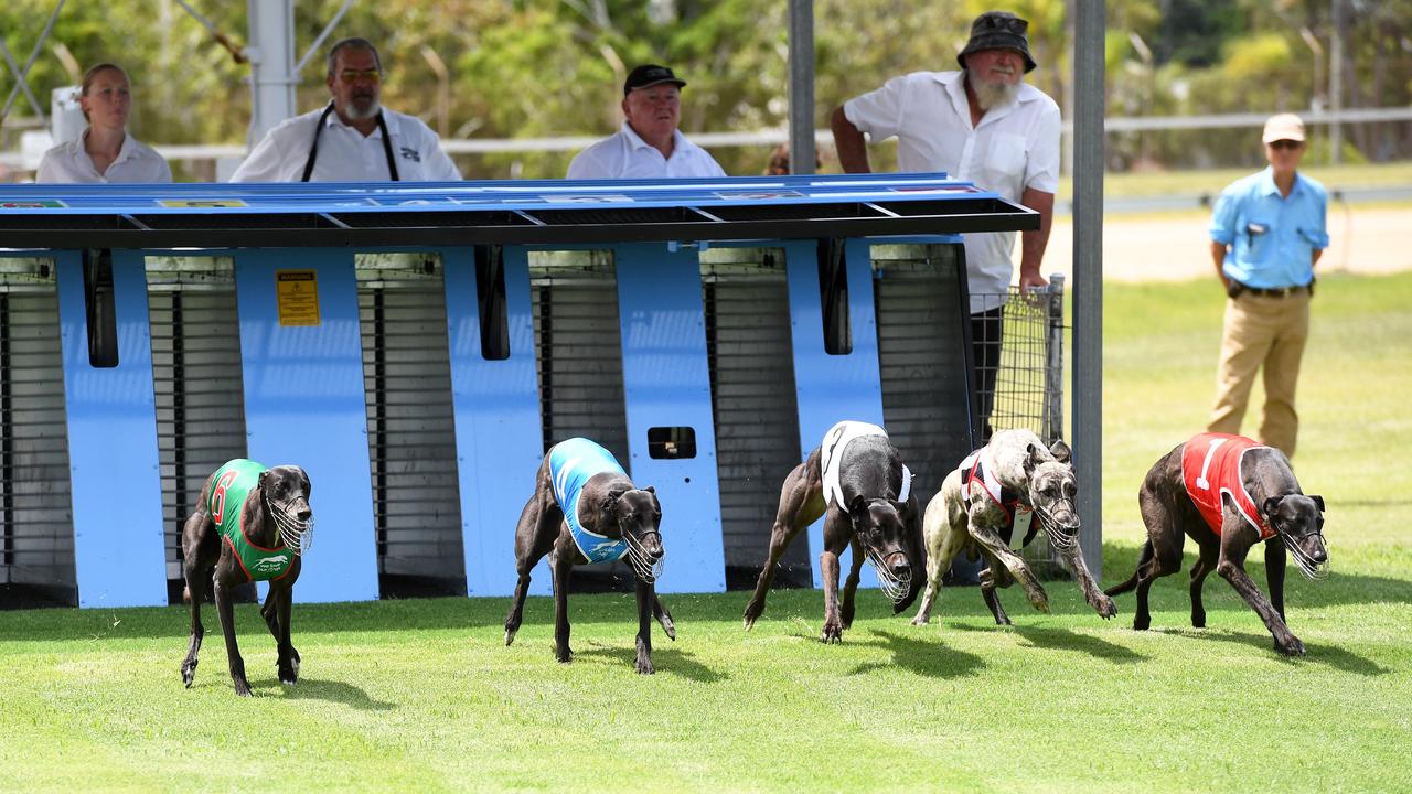 Coalition for the Protection of Greyhounds research shows Bundaberg