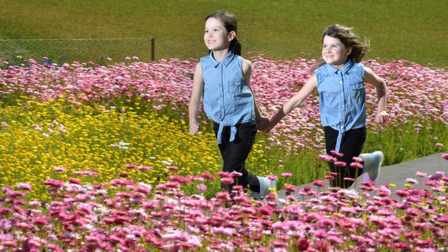 Sisters Lara, 8, and McKenzie Spires, 6, are among the next generation to enjoy the iconic Australian Botanic Garden Mt Annan. Picture: Simon Bullard