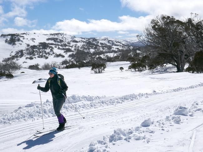 Denby on a perfectly deserted run. Picture: Saxon Johns