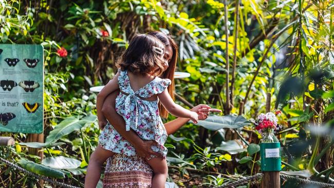 Get up close with exquisite nature at The Coffs Harbour Butterfly House. Picture: Mitchell Franzi