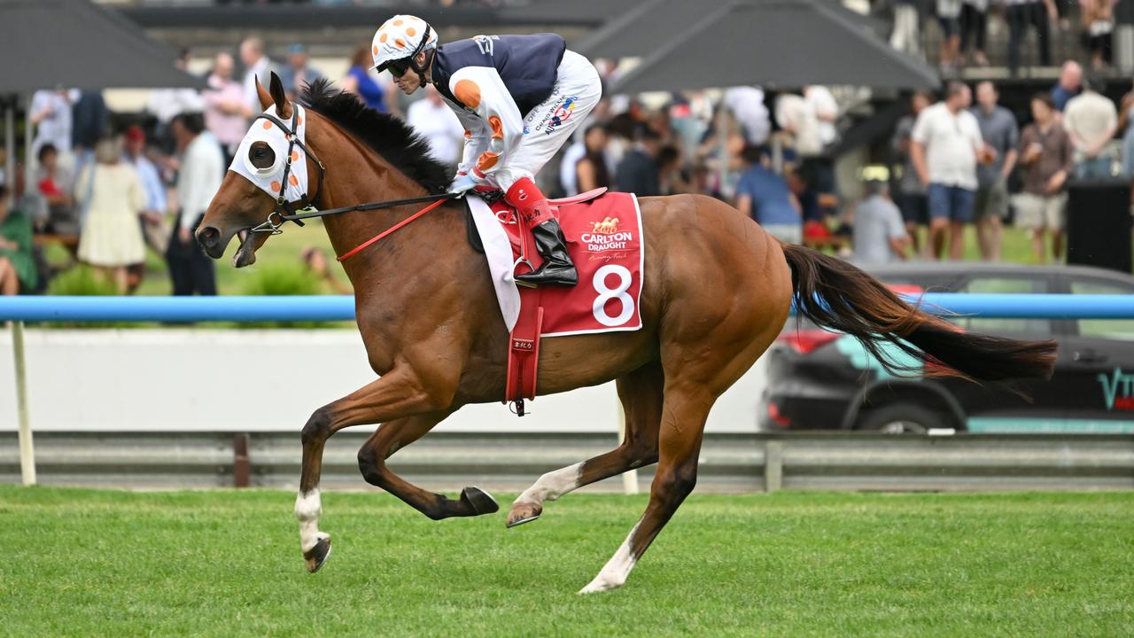 Carlton Draught Peter Young Stakes (Hillside)