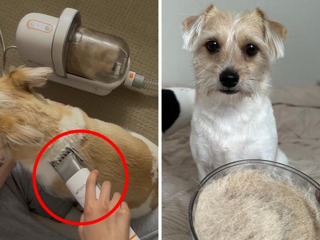 This all-in-one dog grooming kit has been a "game changer" for anxious pet owners. Picture: Harriet Amurao/news.com.au checkout