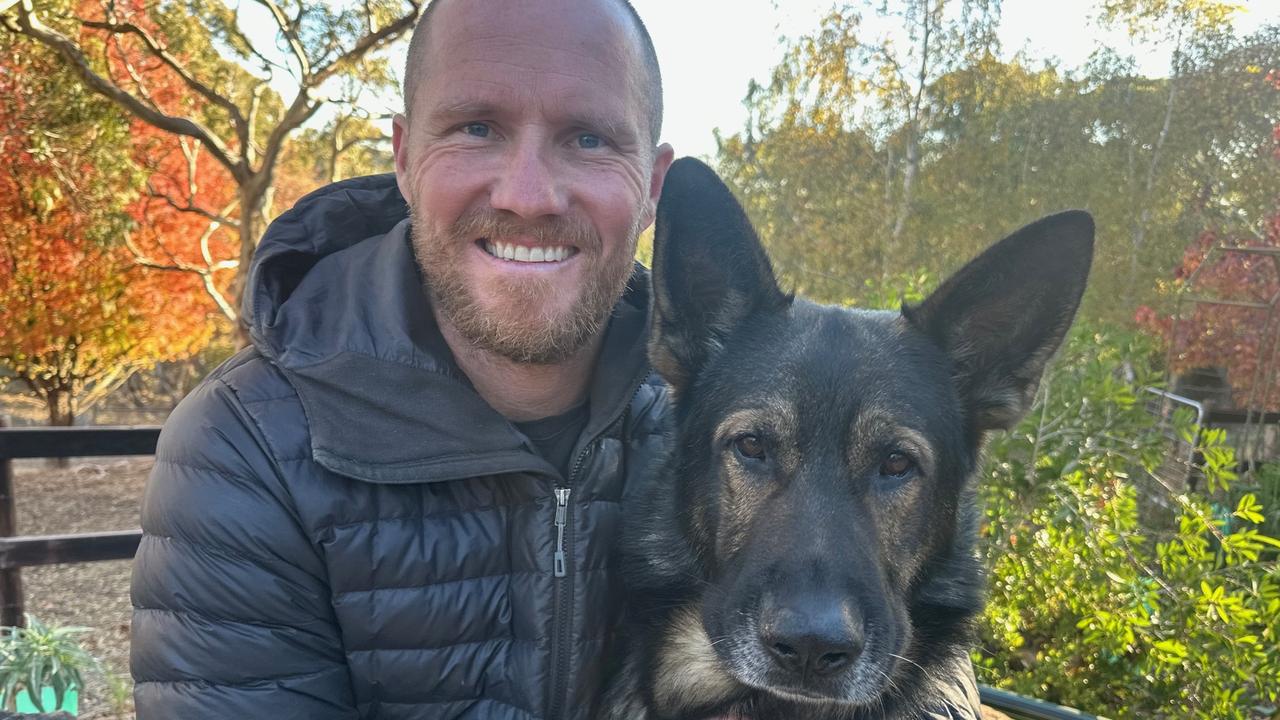 Worst attack ‘absolutely unbelievable’ SAPOL dog ever faced