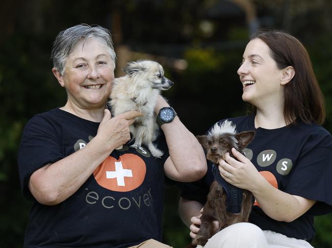 WEEKEND TELEGRAPH 23RD NOVEMBER 2024Pictured at Beare Park at Elizabeth Bay in Sydney pet fosterers Jacqueline Largo with Baby and Sophie Jones with Willy.Picture: Richard Dobson