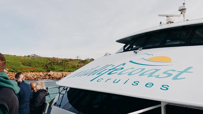 Wildlife Coast Cruises are finalists in the Bass Coast Business Awards 2022.