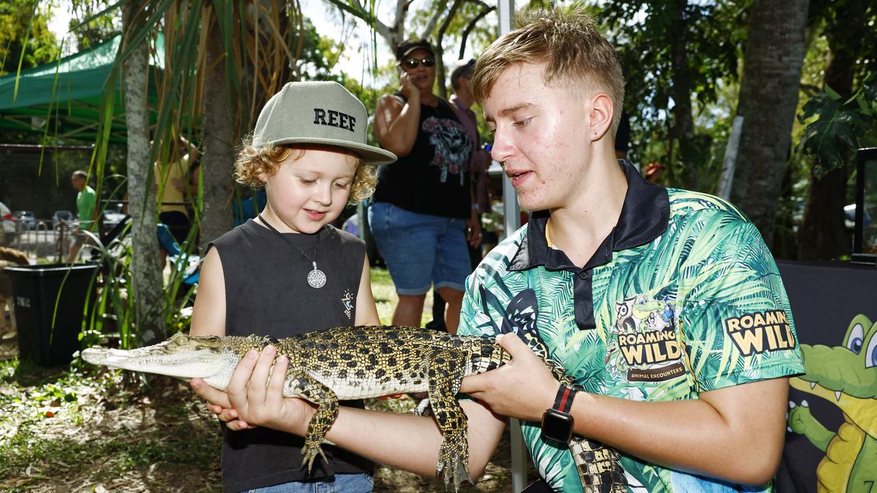 Reef White, 4, pats a baby crocodile with Kalum Place from Roaming Wild animal encounters at the Little Day Out family day, held at the Holloways Beach Sports Oval and raising funds for the Holloways Hub. Picture: Brendan Radke