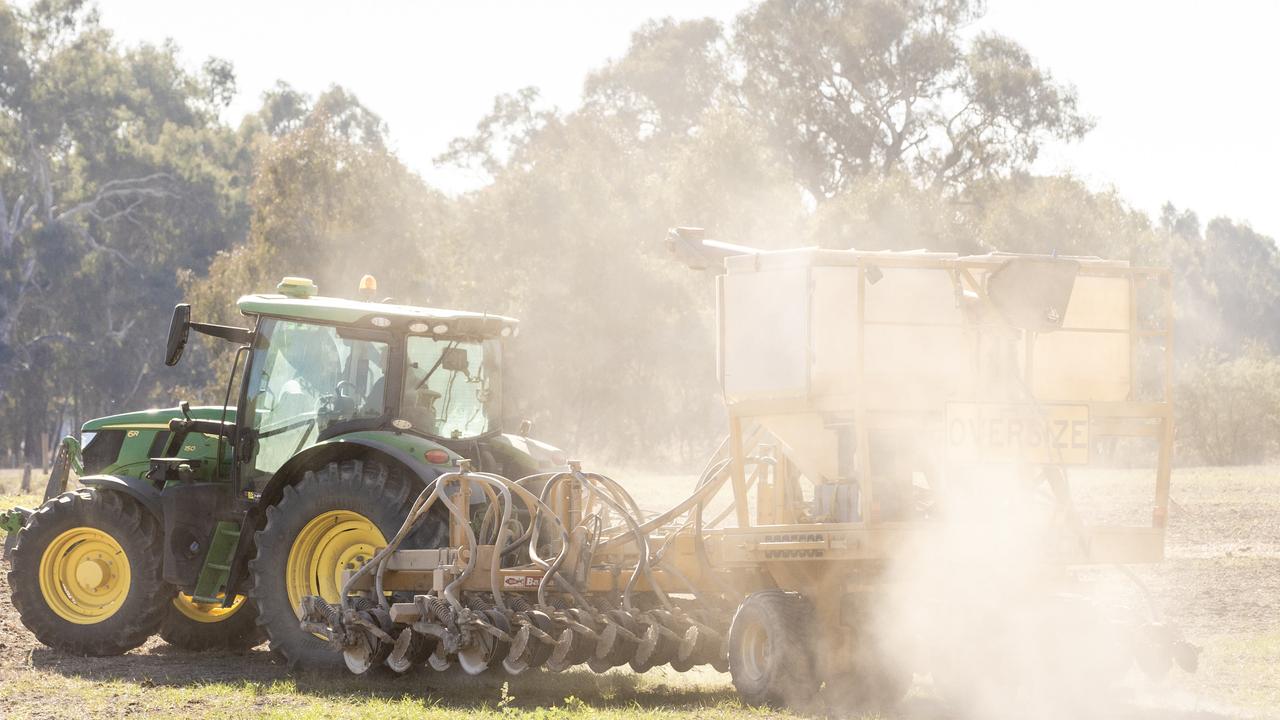 Resowing on the table as rain offers hope