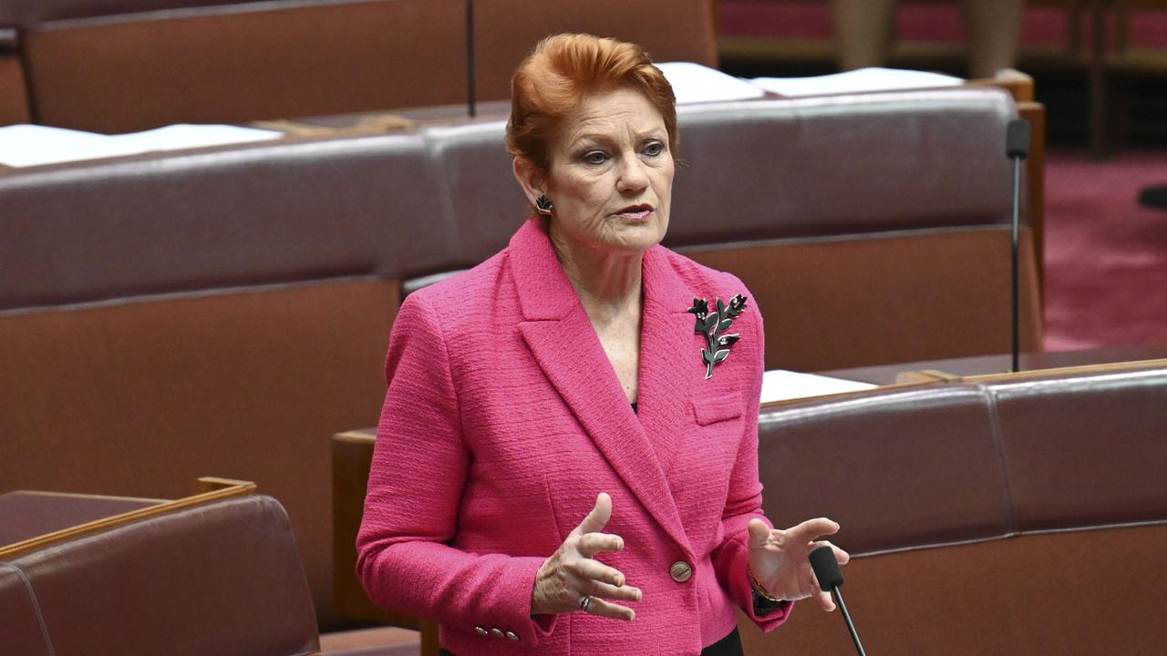 Pauline Hanson says Aussies are sick of the Welcome to Country practice. Picture: NewsWire / Martin Ollman