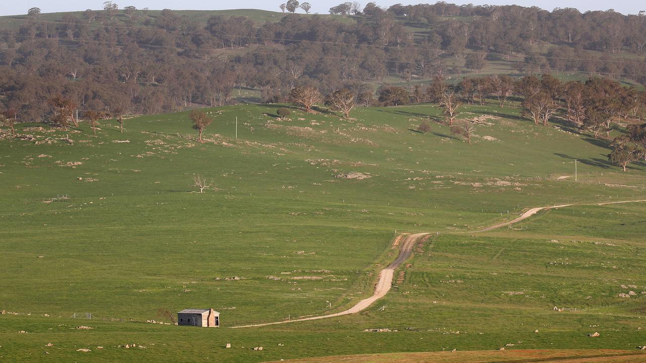 It’s hoped the agriculture sector will be will be in well placed to recover following the pandemic. Picture: Toby Zerna