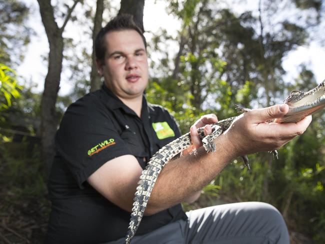 Daniel Brighton with a saltwater crocodile for a newspaper photoshoot last year. Picture: Melvyn Knipe