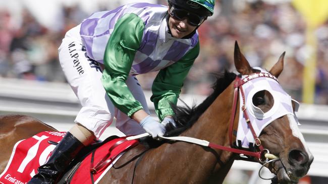 Michelle Payne is keen to continue her association with Melbourne Cup winner Prince Of Penzance in the spring. Picture: Michael Klein