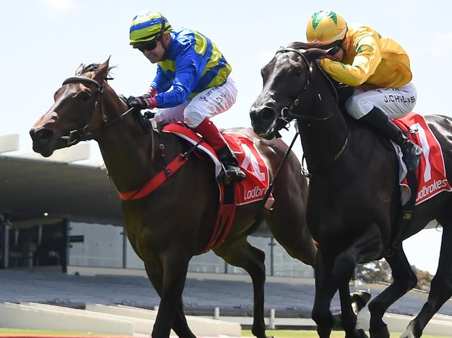 Flying Fizz ridden by Dean Yendall wins the Ladbrokes Communities Handicap  at Ladbrokes Park Lakeside Racecourse on November 22, 2023 in Springvale, Australia. (Photo by Pat Scala/Racing Photos via Getty Images)