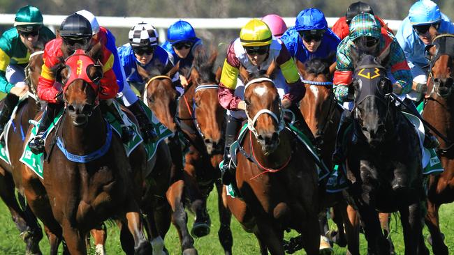 Loving home ridden by Tye Angland  (yellow cap, maroon with yellow armbands) wins race 1 during Scone  Races located in the Upper Hunter Region of NSW. The Bend . Pic Jenny Evans