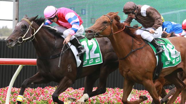 Stolen Jade (left) will appreciate a return to a soft track at Warwick Farm on Wednesday. Picture: Grant Guy
