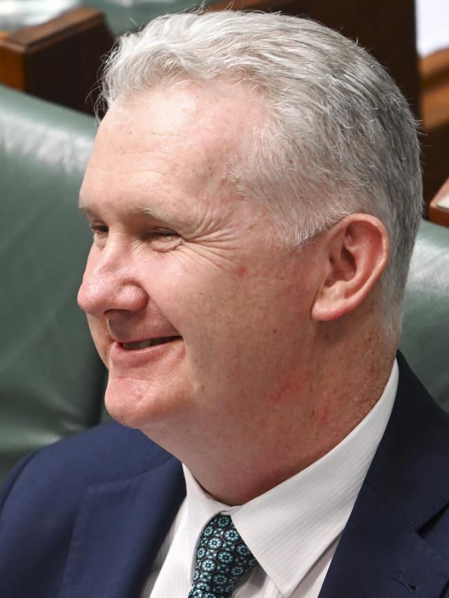 Home Affairs and Immigration Minister Tony Burke has ignored repeated requests for comment. Picture: NewsWire / Martin Ollman