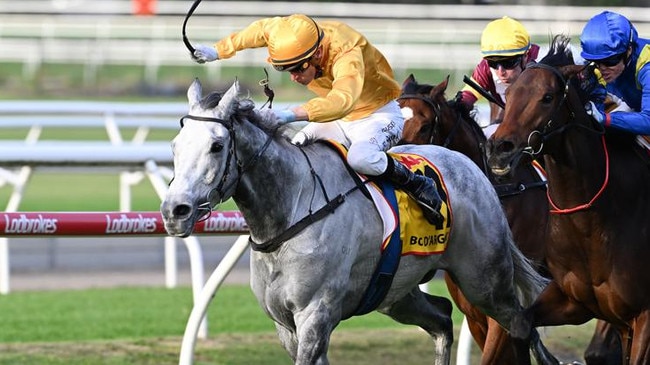 Bois D'Argent caused a boilover in the Doomben Cup last year. Picture: Grant Peters/Trackside Photography