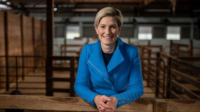Flint abruptly quit politics citing burnout and health issues. Picture: Naomi Jellicoe