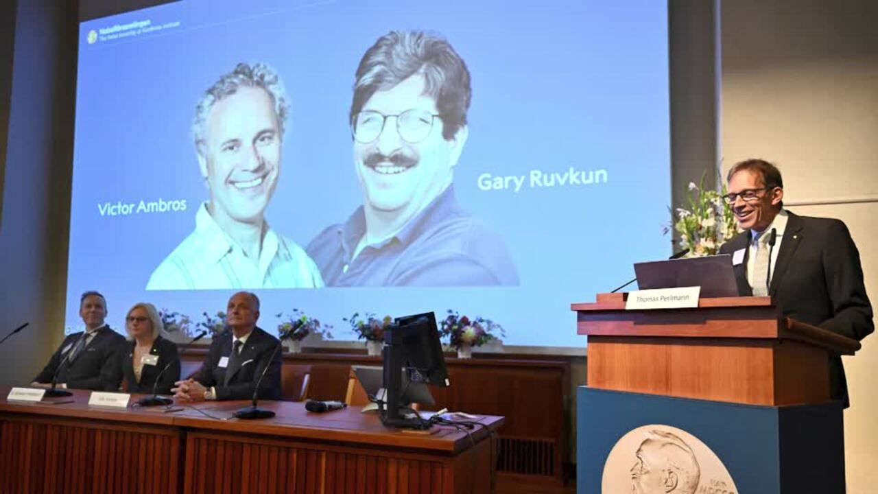 What Is MicroRNA? Nobel Prize In Medicine Goes To U.S. Duo | The Australian