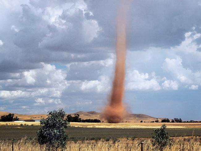 Out there ... Dust devil near Mount Bryan, SA. Picture: Jacob Elliot