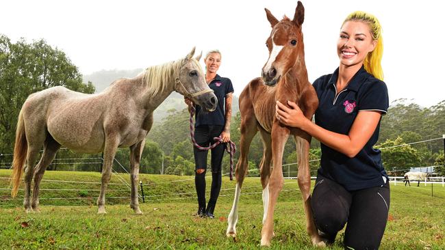 Twins Ellie and Brooke Kelaart with Lola and her foal Princess. Picture: John Gass