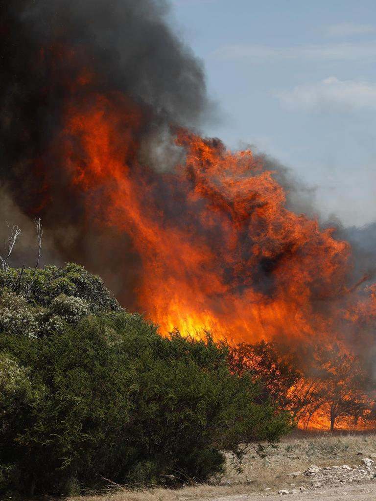 Huge flames as scrub around Port Lincoln goes up. Picture: Robert Lang