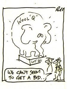 the weekly times pocket toon