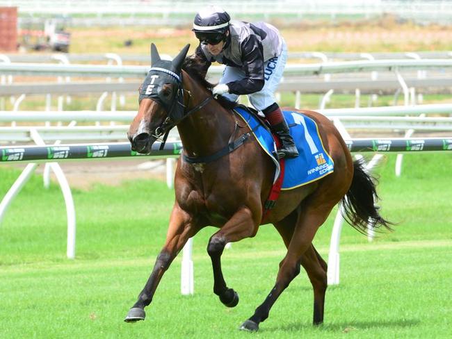 Houtzen does it easy at Eagle Farm. Picture: Grant Peters, Trackside Photography