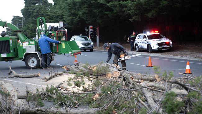 Victoria has been hit with destructive winds. PICTURE: NewsWire / Nicki Connolly