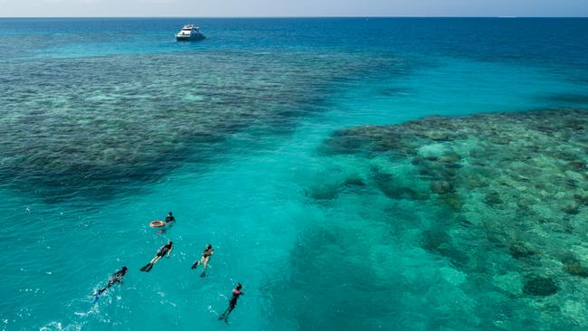 Aerial view of guests swimming through a reef channel, on an Adventure Drift Snorkel Tour at Upolu Reef Photo - Tourism &amp; Events Queensland Escape 10 July 2022 savvy