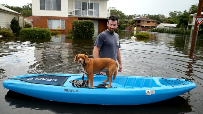 Dave Soury’s dog Scout kept dry at North Haven, south of Port Macquarie. Picture: Nathan Edwards