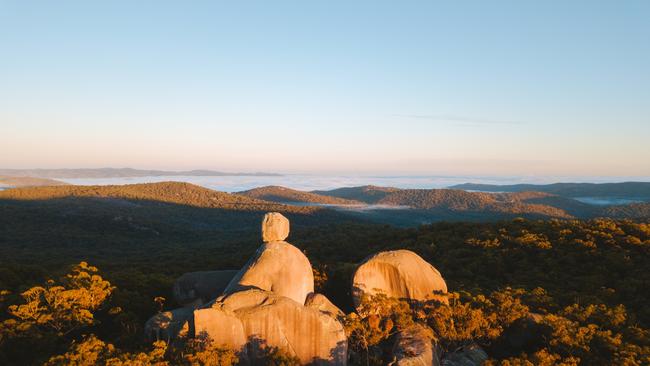 Girraween National Park Image: Tourism and Events Queensland