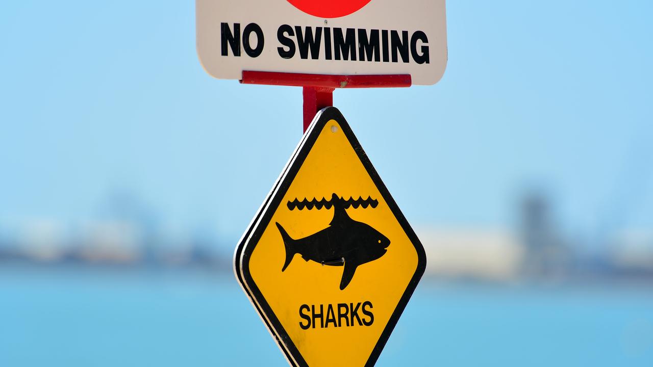 There have been a number of fatal shark attacks across the Mackay-Whitsunday region over the decades. Picture: Alix Sweeney