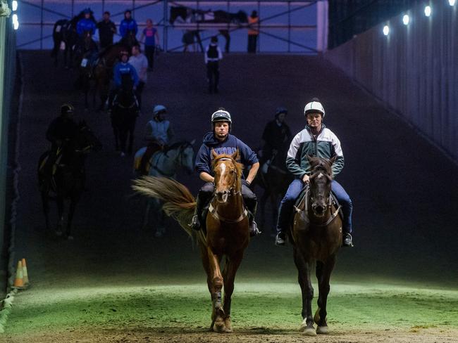 Criterion (left) has had two lead-up runs to prepare for his Queen Elizabeth Stakes defence. Picture: Jay Town
